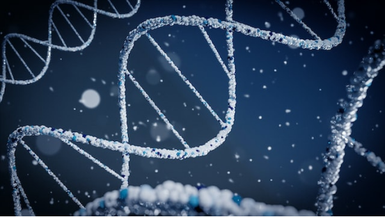 科学sci论文翻译|多语言sci论文翻译公司|北京专业翻译公司 科学sci论文翻译|多语言sci论文翻译公司|北京专业翻译公司
