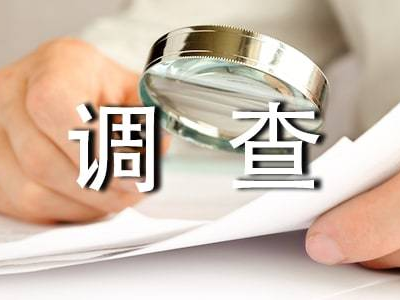 调查报告.png